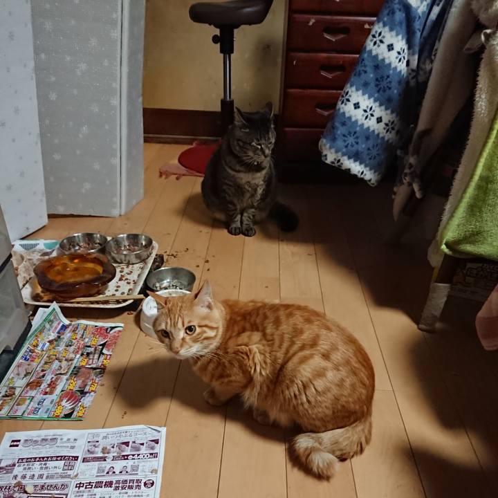 5f4b42fc 8c34 4906 ad6d 9d5cbda15a19 1648812769793