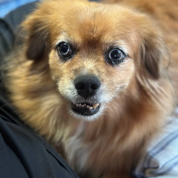 5f4b518a 23d6 4b43 9c17 ae515fcfe43e 1757452492816