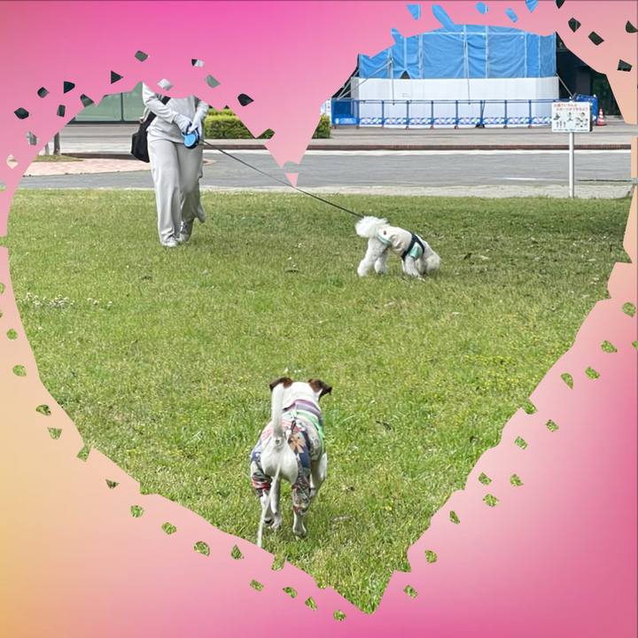 5f4b549d 983a 4c5e adce 9493cb5c58bf 1748602833680