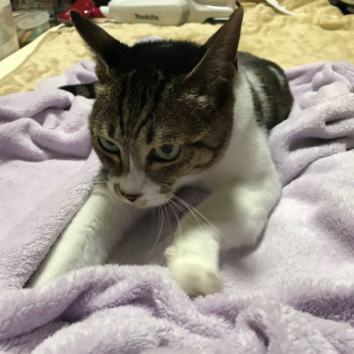 5f4b7548 6e94 4717 b46e ff97a0636958 1509153314431