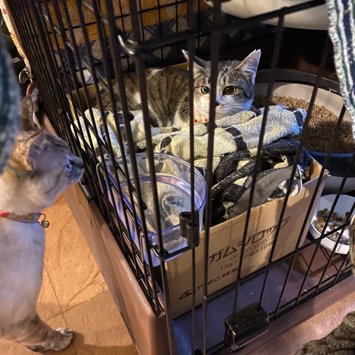 5f4b9324 4db1 4f23 b08e 8703ea737bf8 1710495348486