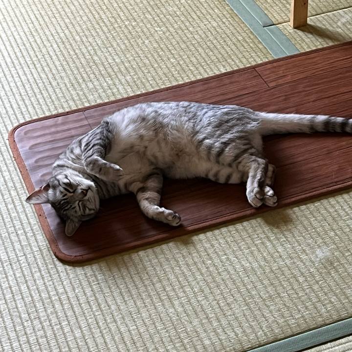 5f4b9521 e32f 4ad0 8b7f 780469e7a6b3 1747086615153