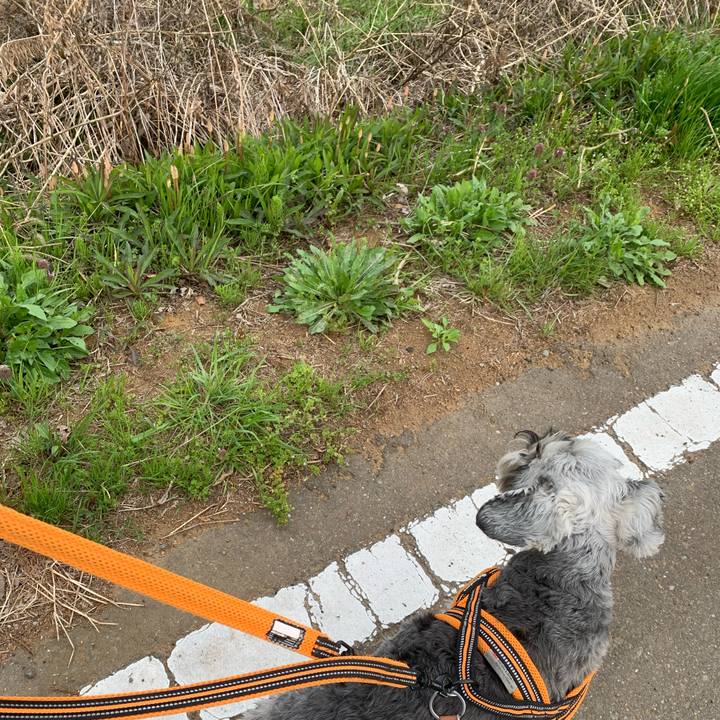 5f4bba17 4a22 413b a591 9304e2277892 1699361848214