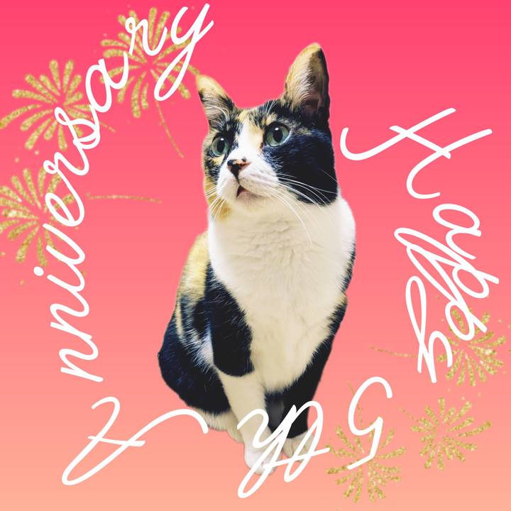 5f4bf692 b42d 4b23 b9fb 200f3df7977c 1750983005365