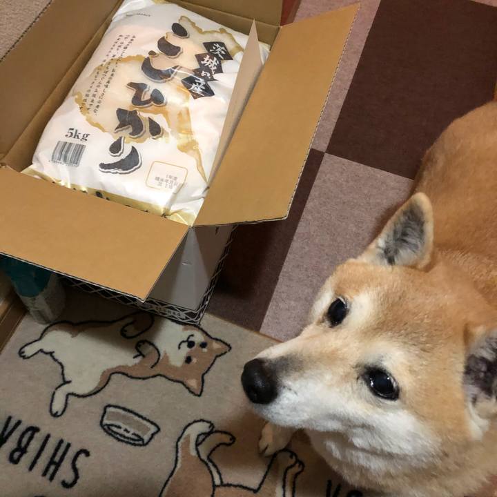 5f4bf6a3 f9cf 4513 b7d4 556d1a6005ec 1585313279630