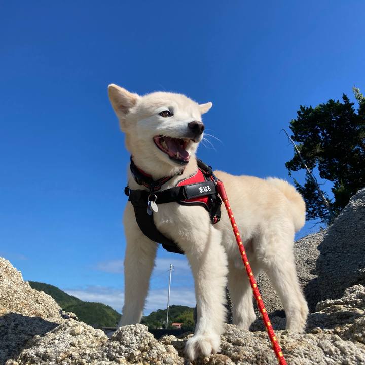 5f4c5202 6281 4dfb 9f10 8f10d5881801 1727397878963