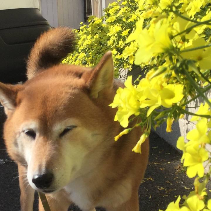 5f4c648d 0992 4ee1 8e95 33d46e0091d2 1613879691786