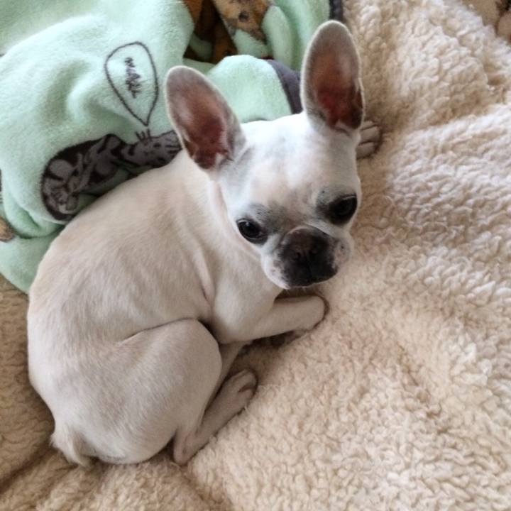 5f4cac68 8432 479f a2b7 ff180a324021 1520139895915