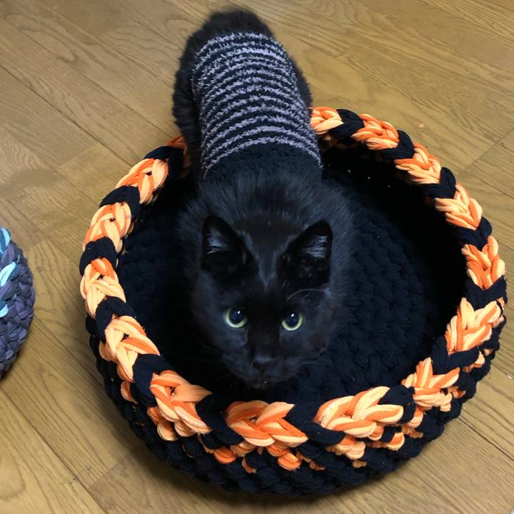 5f4cb267 4d55 4645 ac35 3a8f7763f0cc 1639043233902