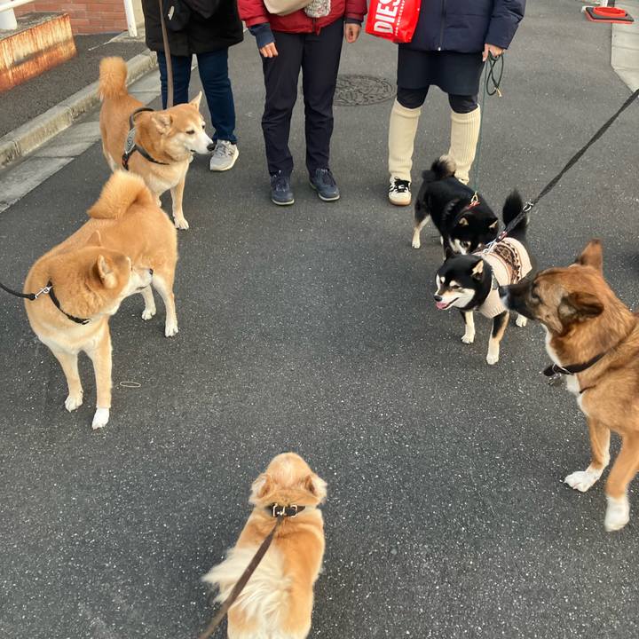 5f4cb87c 3c65 40ec 84d5 4a3a609f9658 1772794743346