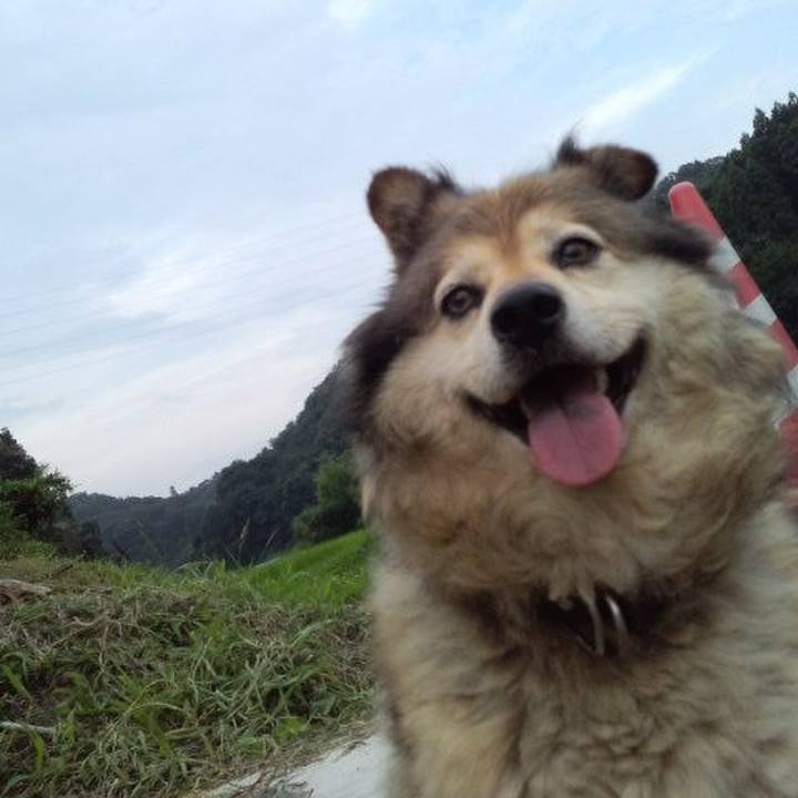 5f4cc08f 5276 46ea ae20 69efd9b39d3f 1586796277623