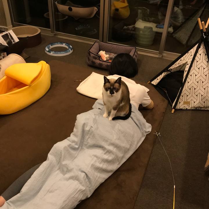 5f4cc2f8 3202 4ba4 a205 b6461901ac31 1545649291595