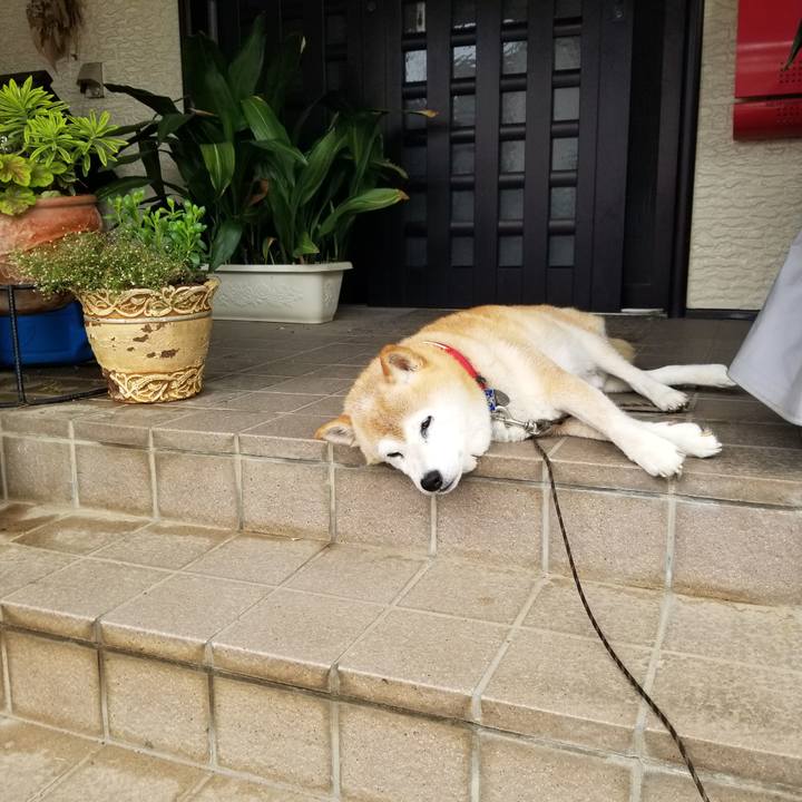 5f4ccf41 5e38 4c60 9e4a b3d2603bfdfc 1720741092791