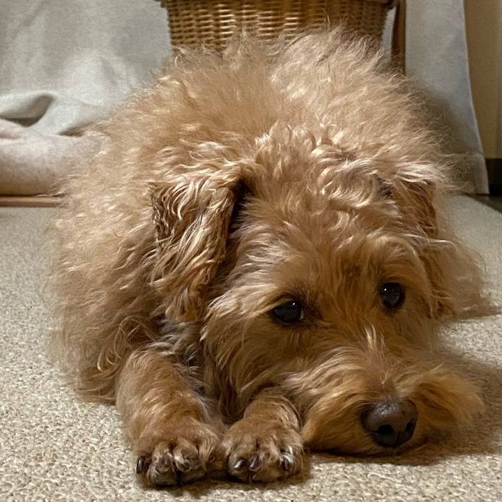 5f4cd07e bb71 4661 81a5 0edbc32fe921 1672442789620