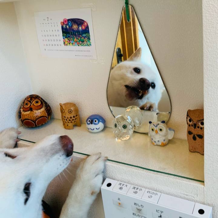 5f4d184c cdf0 4e47 971c 5b7263a94f59 1626383704125