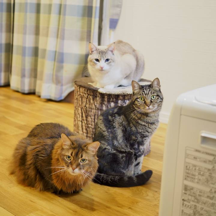 5f4d2af3 b5d1 4c64 a66f 7033155a1086 1735011485689