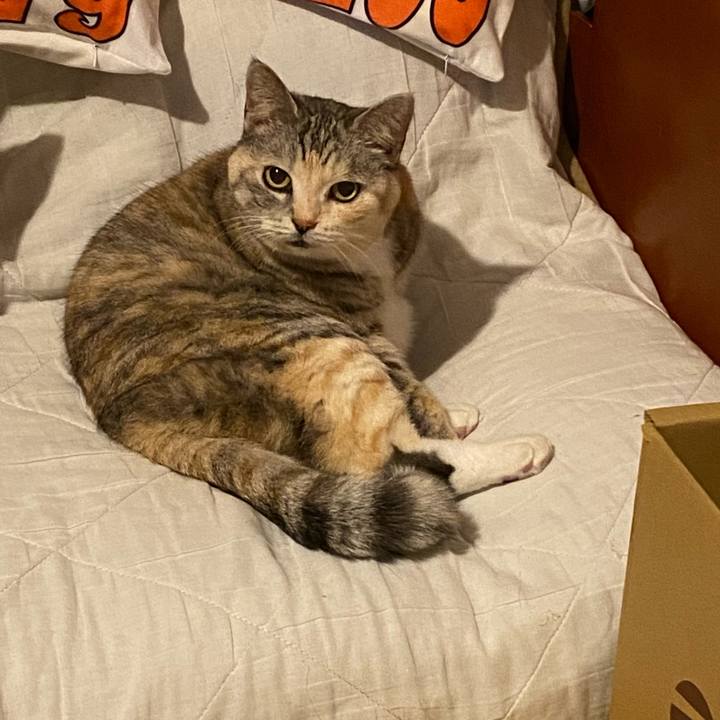 5f4d4033 e805 45de bb5f 8fca4a3b23a3 1706039304837