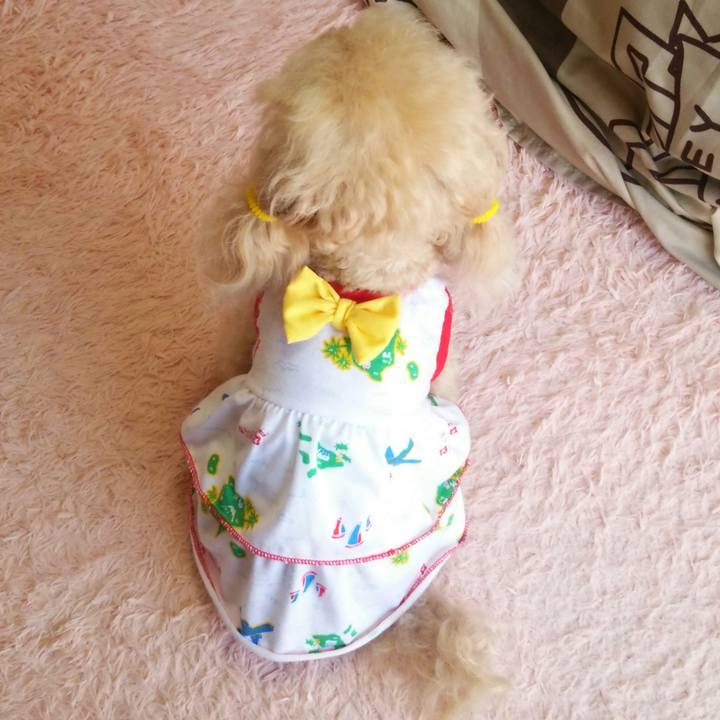 5f4d4190 a410 4b24 a405 9d74fe1fc67c 1552471091226