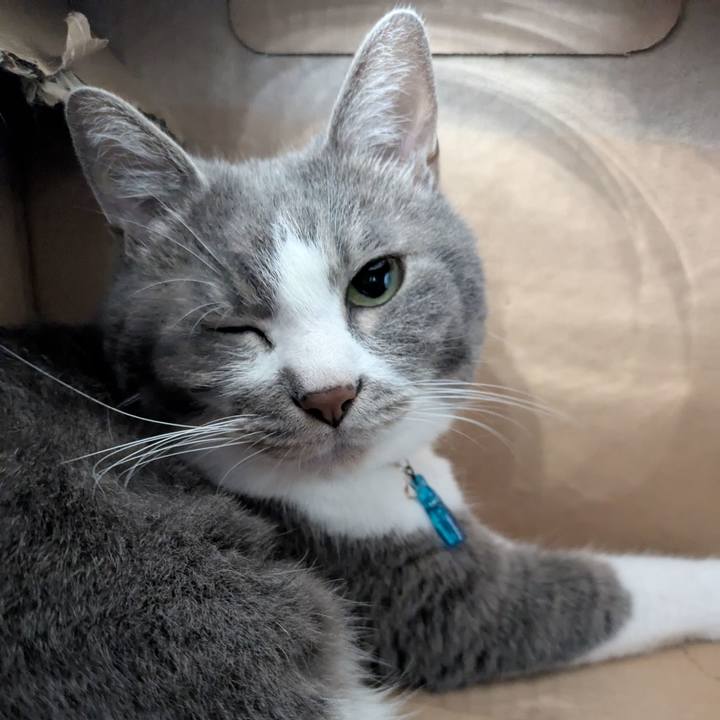 5f4d89fe cda6 4ebb 8cc5 24c37aab1d9b 1752202035960