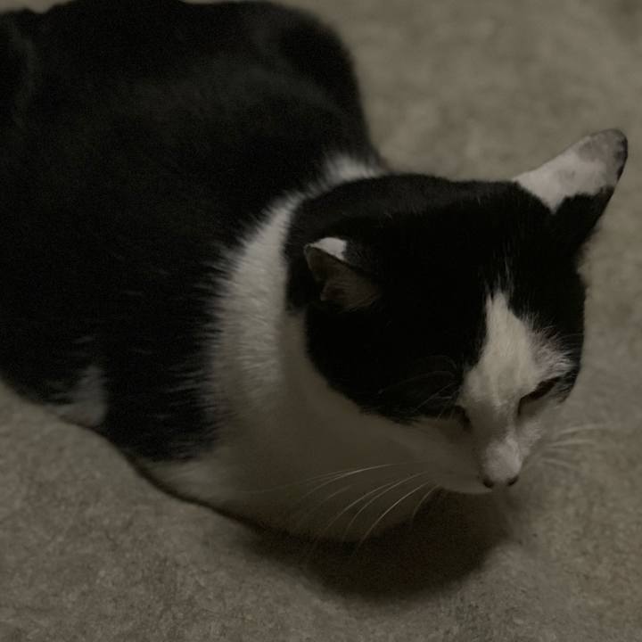 5f4db4a8 f262 46db 9e2d 0a0f20cef2df 1617726879969