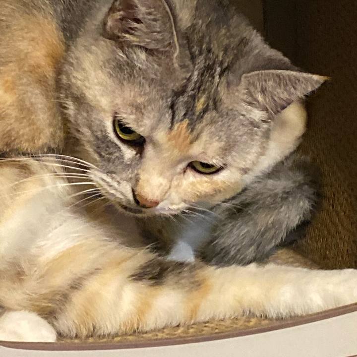 5f4dff6e 7321 4359 a0ae 4f9208b43c15 1633518199172