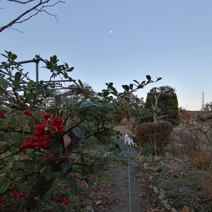 5f4e14d4 f6e2 45b8 b492 fcd88f9a883b 1576471771531