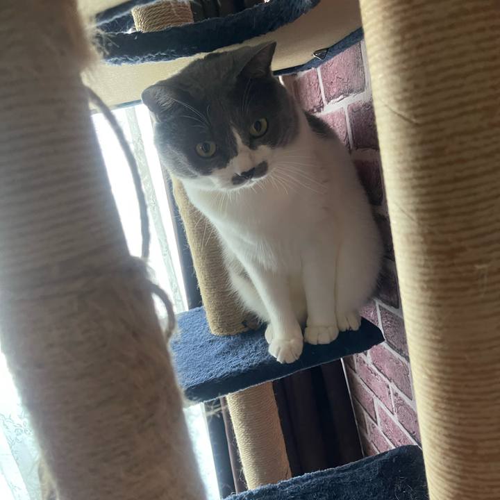 5f4e3619 f390 4500 a5e7 018fbf9a82df 1752910869151