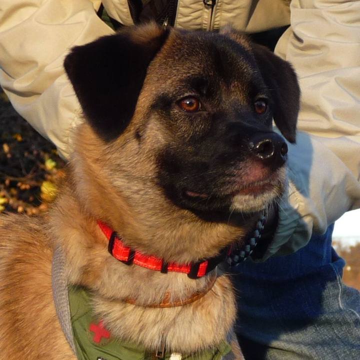 5f4e4c78 59fa 467a 9689 57680c0c173b 1512700759817