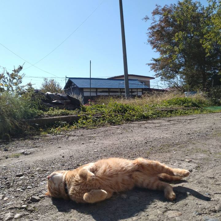 5f4e5b5c 1caa 43ae 8cfe 4835326f2be0 1666927945836