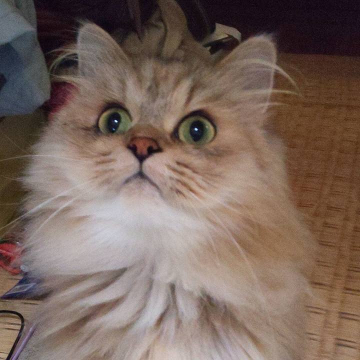 5f4e6f13 718d 4e6b 9365 e9a7e06c0683 1600656885096