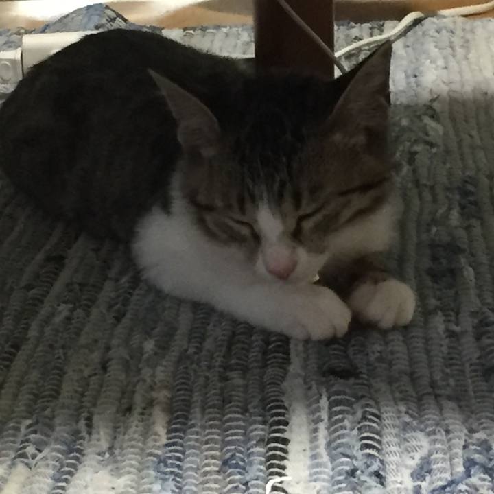 5f4ea9e0 609f 4ac7 bdbc ffb40042e4b3 1659339601478