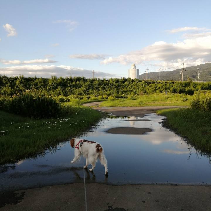 5f4eb3ce 0fbb 4271 937a bb0d3dd58935 1567760405848