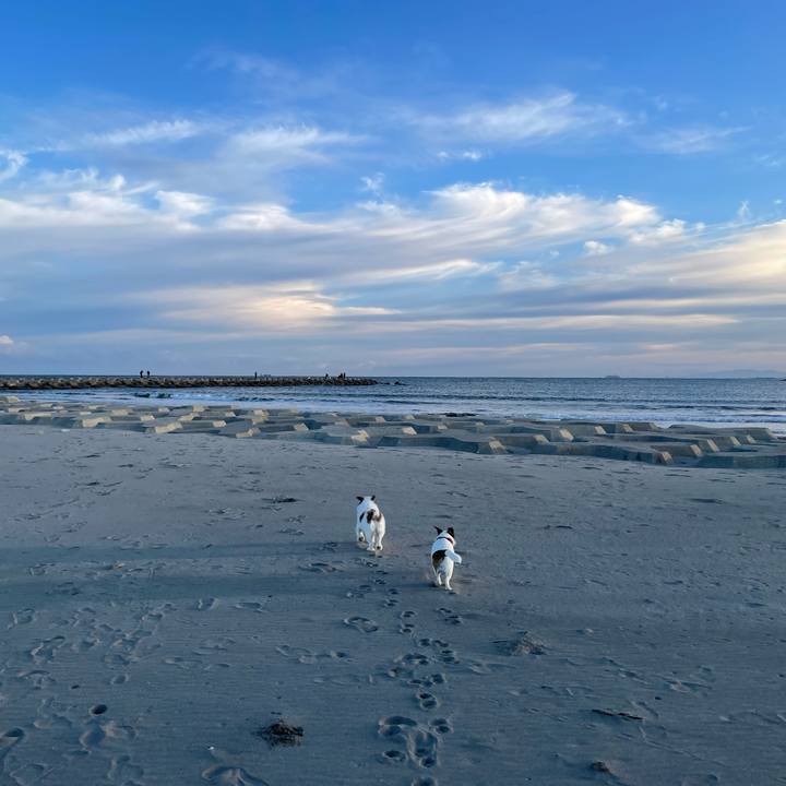 5f4ebdcb f286 420f bdb8 1dfc4d8b86cd 1697237502455