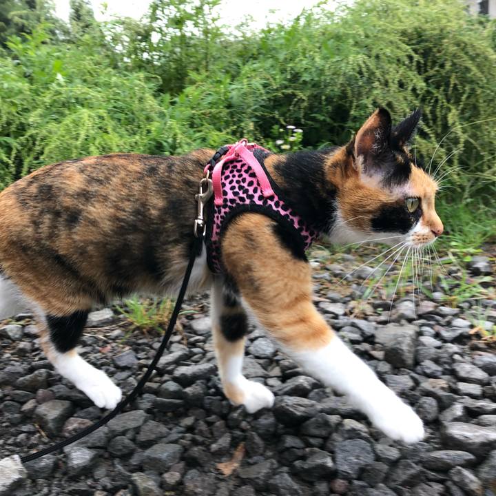 5f4ec300 bd51 4a1d 8eed e46d1a1335f2 1536877645925