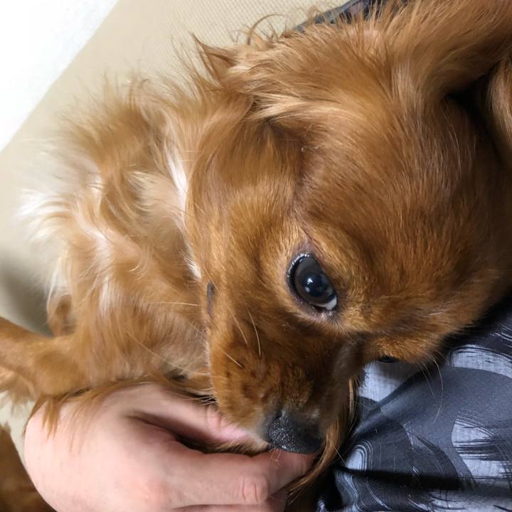 5f4eeaf0 af5b 403f b95a 8c1f2f5ffdfd 1528408975260