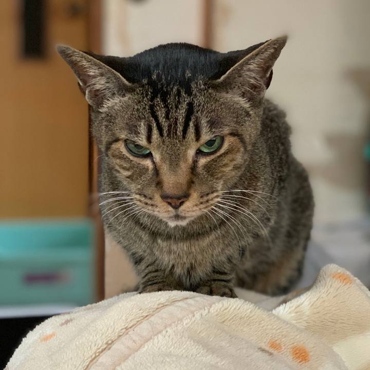 5f4f18ce 3ddd 4978 a9b1 fb9238721dca 1556501205949