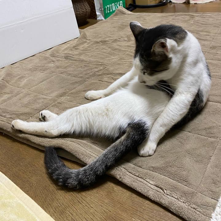 5f4f7a5b 0ad7 495f b701 98baa986dc6f 1607517961119