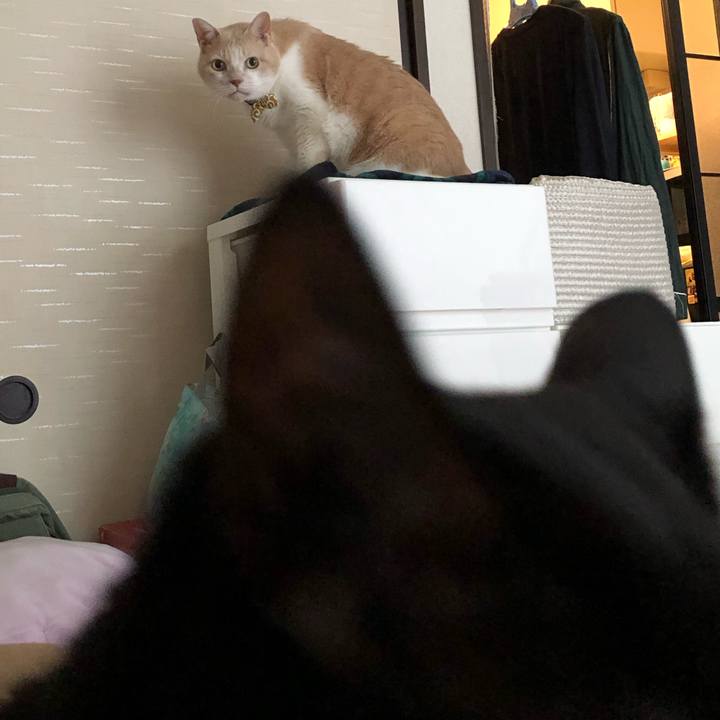 5f4f85c6 15e9 491c b6fc 9ccfbafb2e9f 1571715865420