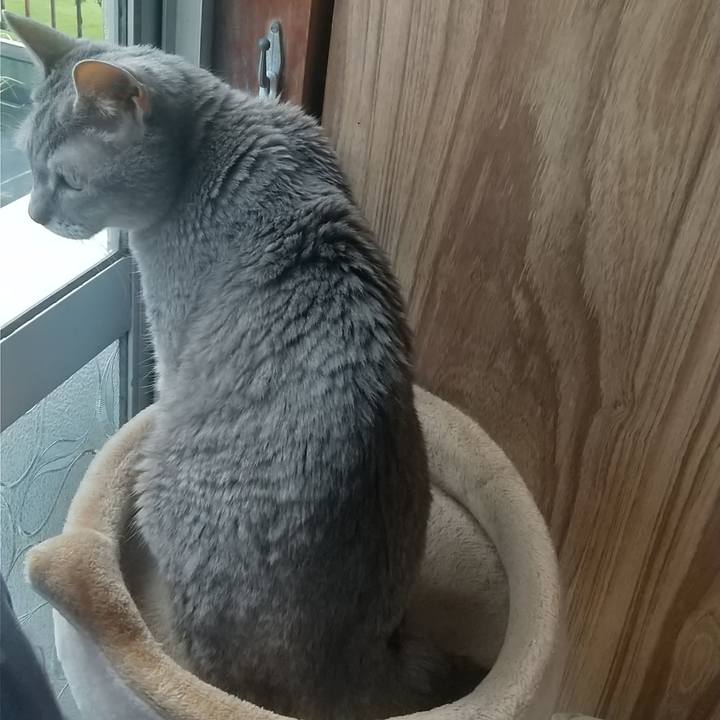 5f4fb483 d267 41fe 8bf1 dbc9a7600277 1723637508551