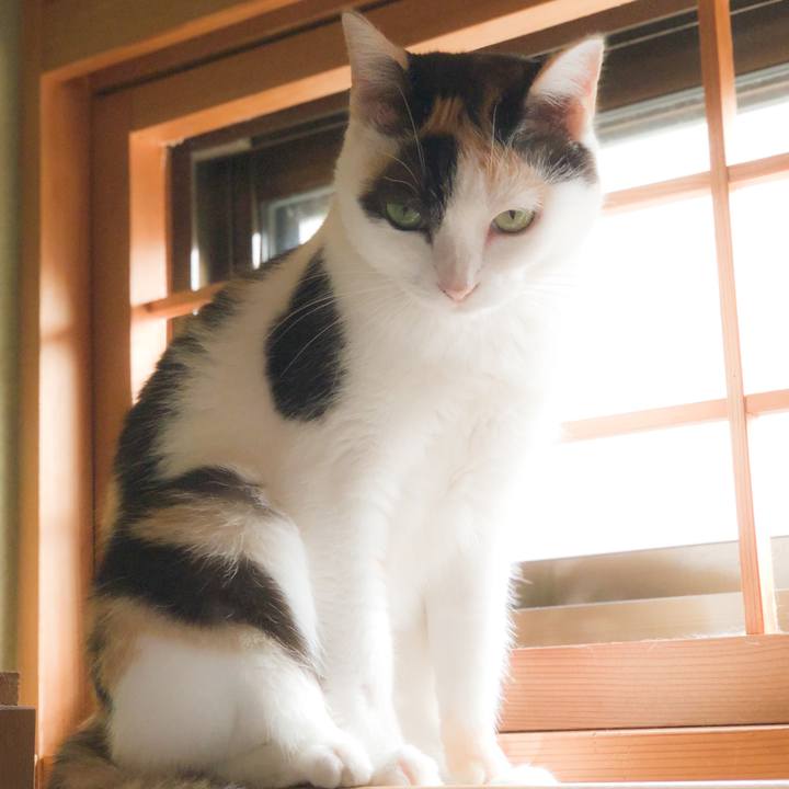 5f4fb645 5f8b 496d ad14 e6f8f39e756f 1569119102322