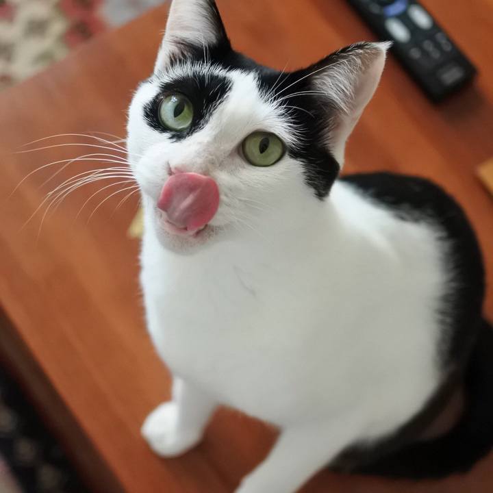 5f4fe0d0 4cf8 4f1f 90b9 9b5b1ec9ddf3 1535153223689