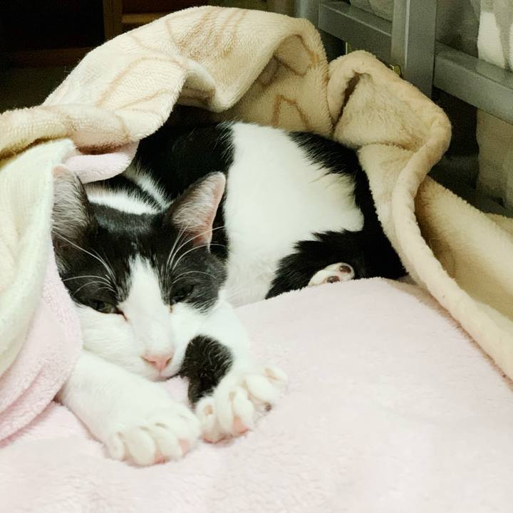 5f500c20 1a6f 491b 8392 e38f47d8105a 1542937715111