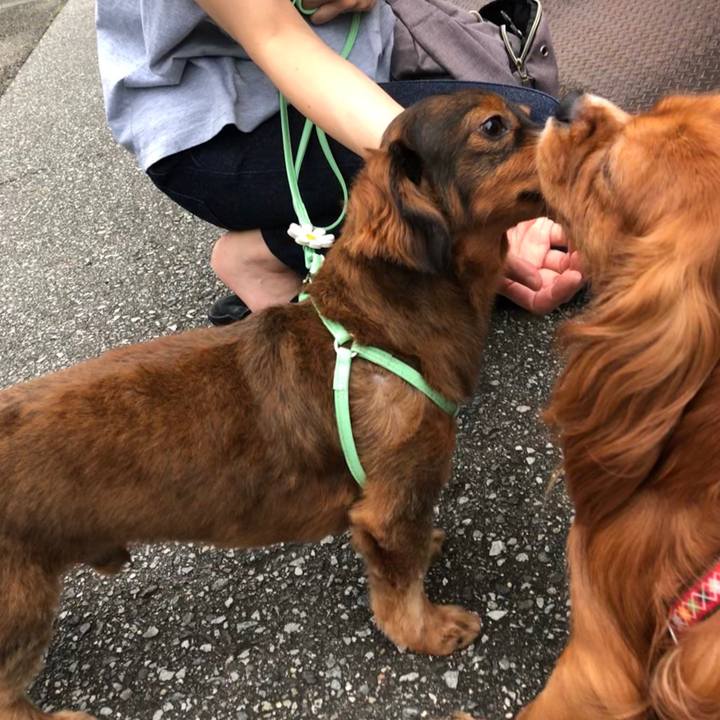 5f5078b6 87bf 47c4 bd3e 66295197e5c2 1564226411350