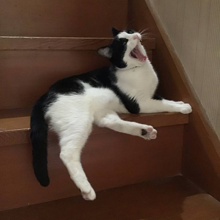 5f508123 3cb8 4784 b167 e205df374977 1747819758586