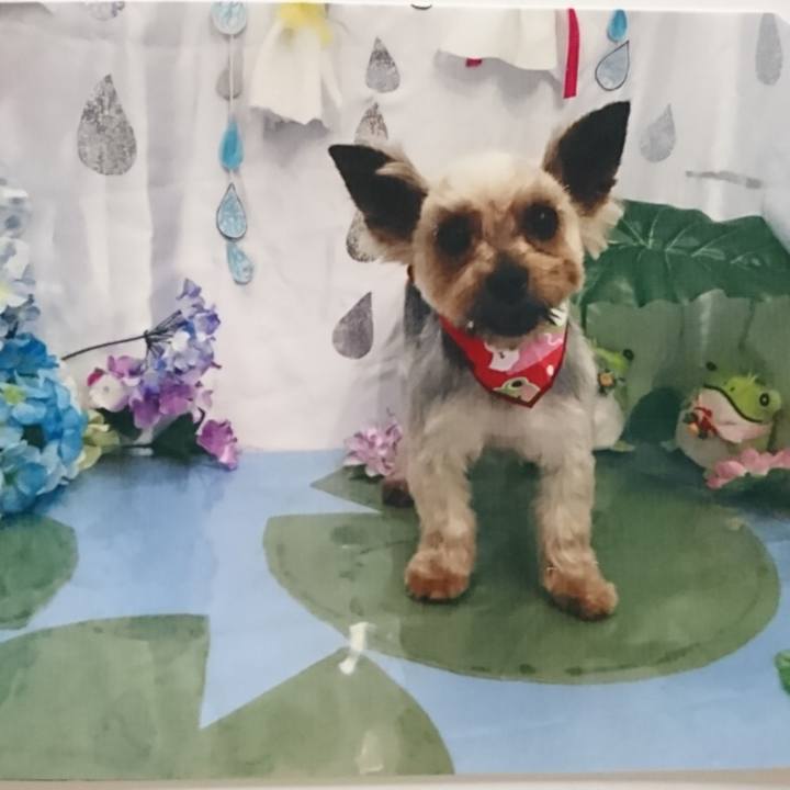 5f50c96e 39ed 4061 ac47 04805df78ee9 1528549303440