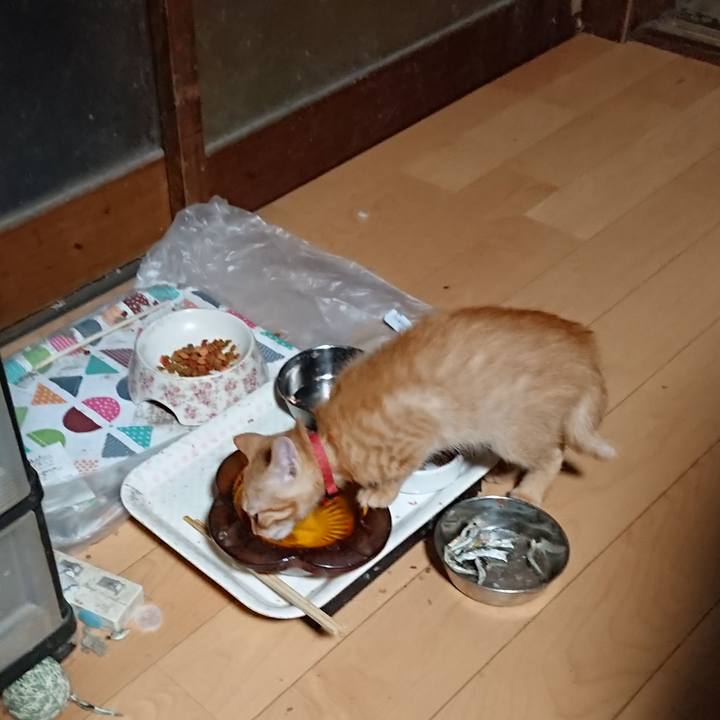 5f50e775 da9a 4322 96ca 54fa57035a83 1631046520867