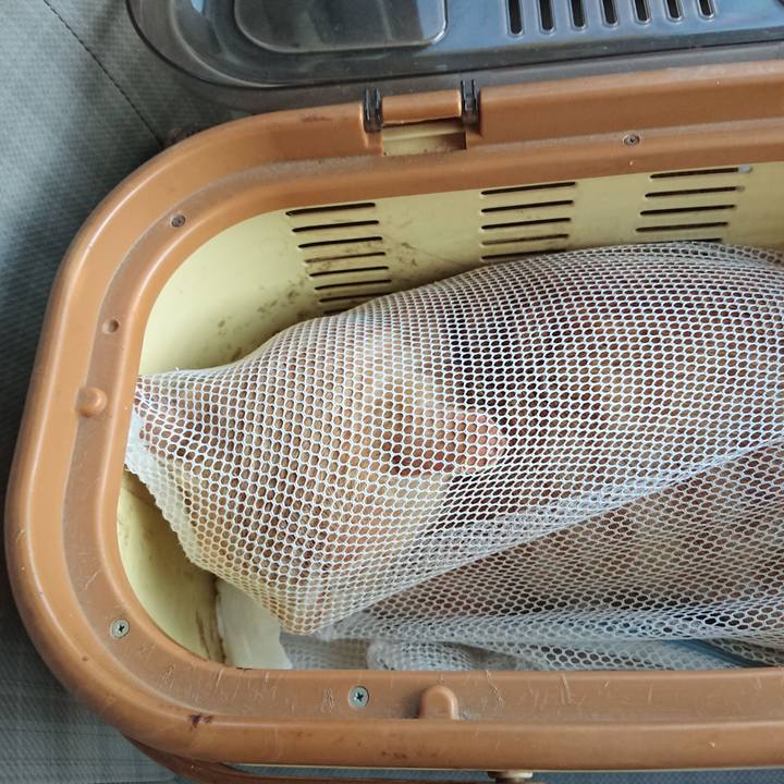 5f510860 9a36 4c18 af84 b3e6841fa7f4 1555406556924