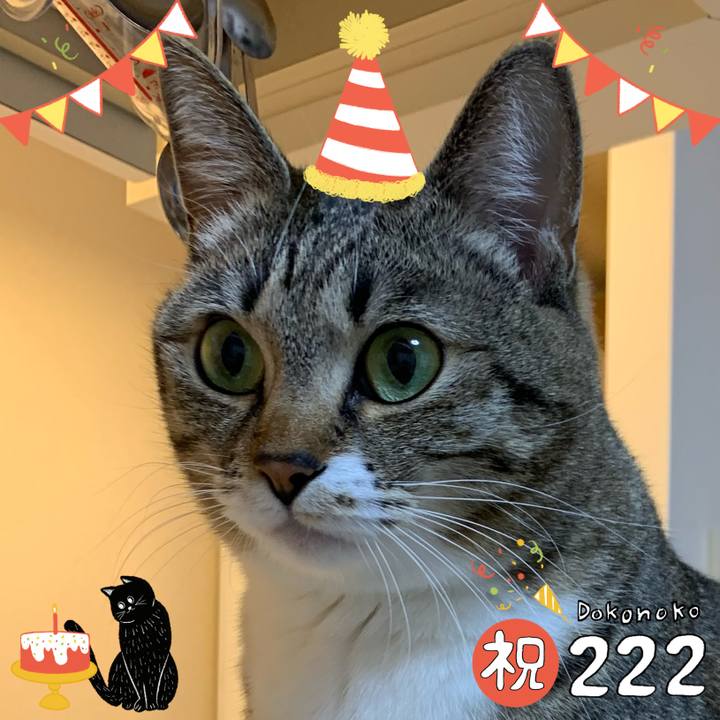 5f510adb 6341 4480 a3da 102eaf97bc4e 1645538890636