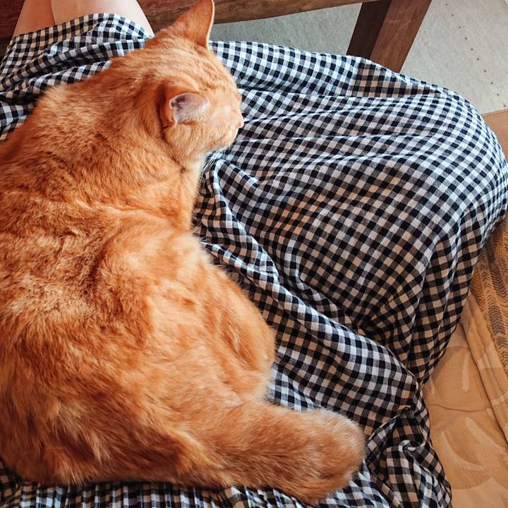 5f514ea2 37ad 4a7b a5bd 83322721bb44 1661575087927