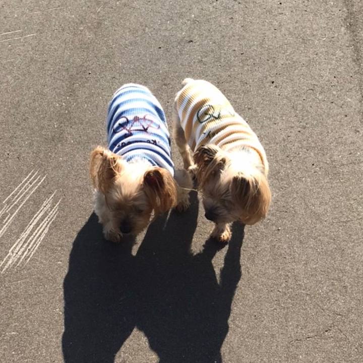 5f518334 7695 4e59 b9ff 7c659e91b84d 1631268809178